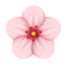 Blossom Server